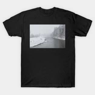 Snow Walk T-Shirt